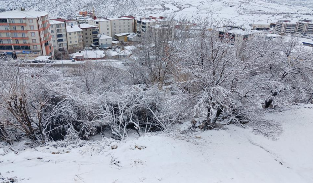 Kulp beyaza büründü: Kar 20 santimi aştı