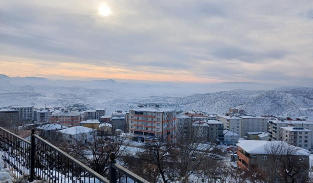 Kulp’ta hayat dondu: Araçlar çalışmadı, Yollar buz tuttu