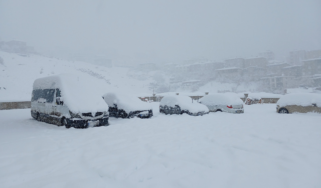 Kulp’ta Kar felaketi: Kar kalınlığı 1 metreyi aştı, İlçe beyaza gömüldü
