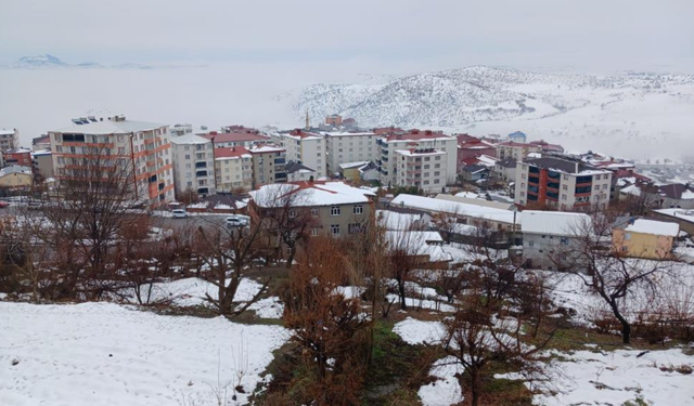 Kulp’ta sisle başlayan gün karla devam etti: Çatılar için uyarı yapıldı