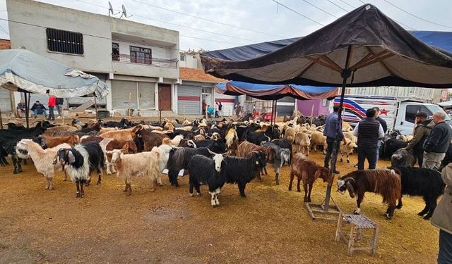 Devlet desteği resmen açıklandı: Diyarbakır'da binlerce kişi bayram etti