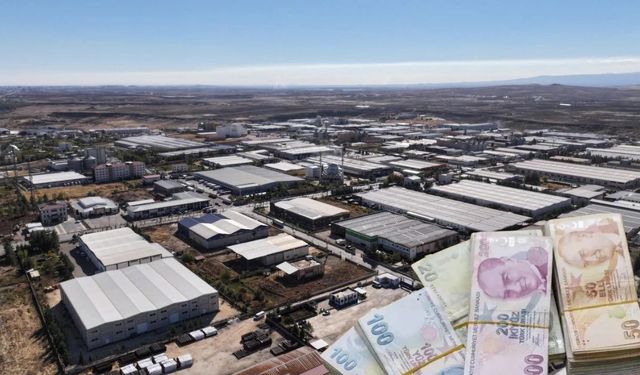 Bakanlık kesenin ağzını açtı: Diyarbakır'a dev hibe desteği geliyor! İşte rakam