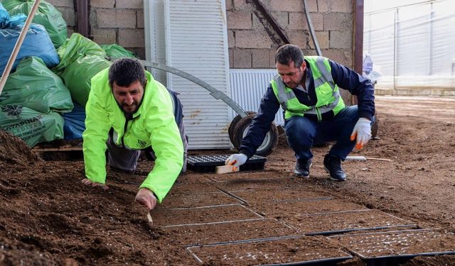 Diyarbakır'da çiftçilere müjde: Ücretsiz olarak dağıtılacak