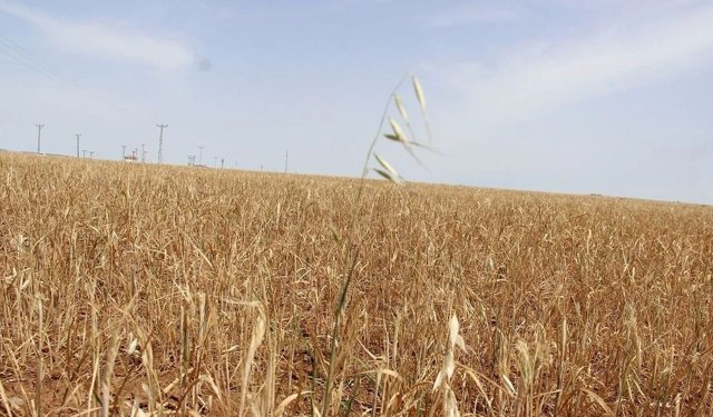 Diyarbakır'da çiftçilerden 'Hayali borç çıkarıldı' iddiası