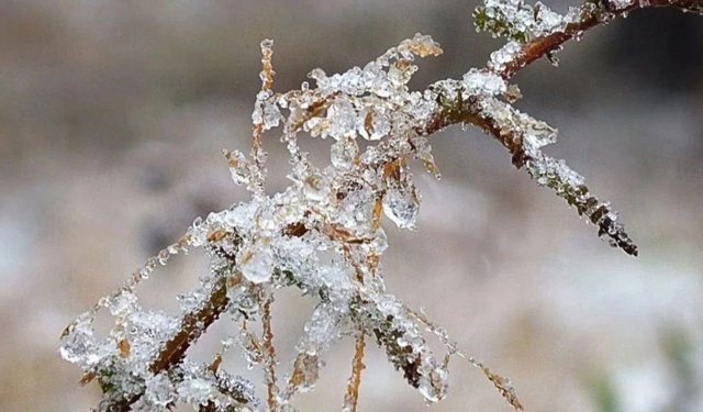 Bu tarihlere dikkat: Bakanlık çiftçileri tehlikeye karşı uyardı