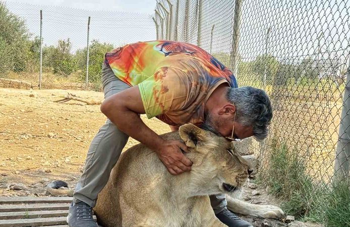 Diyarbakırlı iş adamının aslan sevgisi