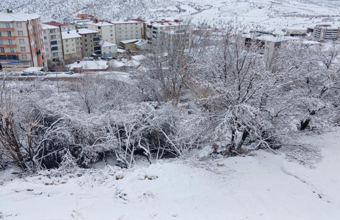 Kulp beyaza büründü: Kar 20 santimi aştı