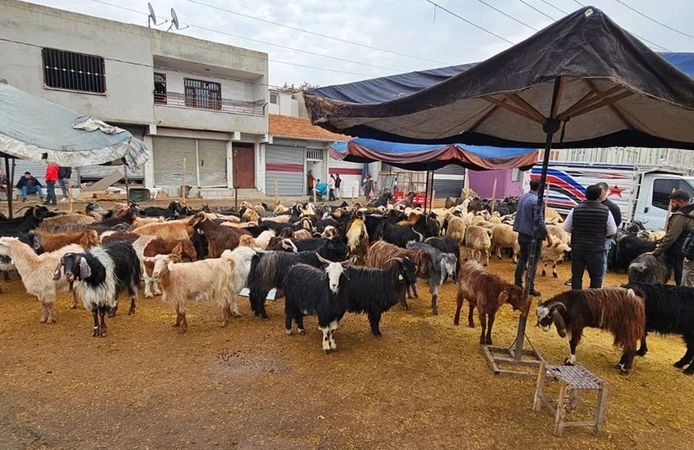 Devlet desteği resmen açıklandı: Diyarbakır'da binlerce kişi bayram etti