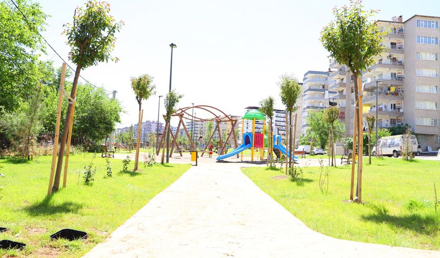 Diyarbakır’da yeşil kuşak projesi tamamlandı