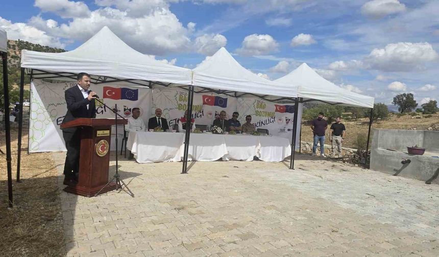 Dicle’de bağ bozumu etkinliği gerçekleştirildi