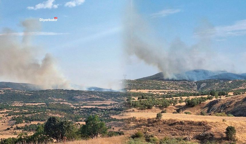 Diyarbakır’ın Ergani ve Lice ilçelerindeki yangınlar kontrol altına alındı