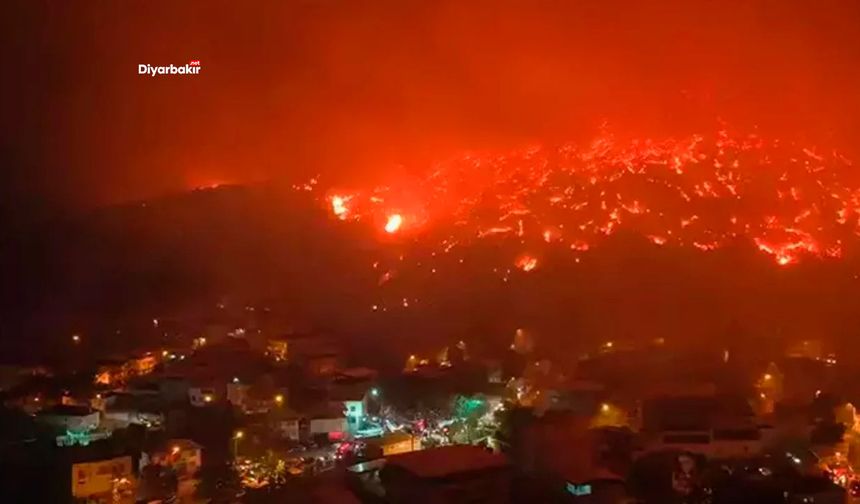 Diyarbakır, Bursa ve Karabük’te orman yangınları sürüyor
