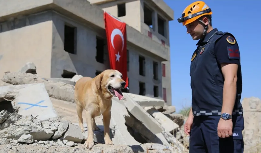 Diyarbakır’ın sadık görevlisi pusat, sayısız göreve katıldı
