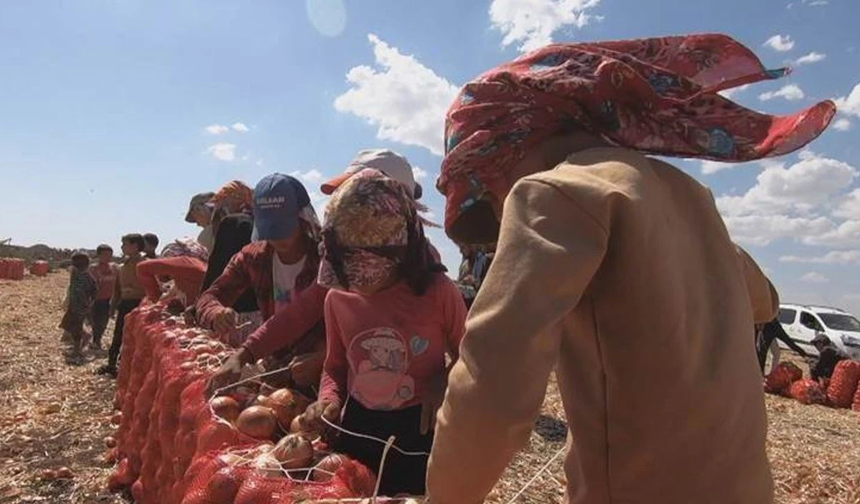 Diyarbakır’da çocuk işçiliği ve eğitim krizi