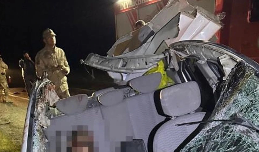 Diyarbakır’da feci kaza: Otomobiller atla çarpıştı! 1 Ölü, 7 yaralı