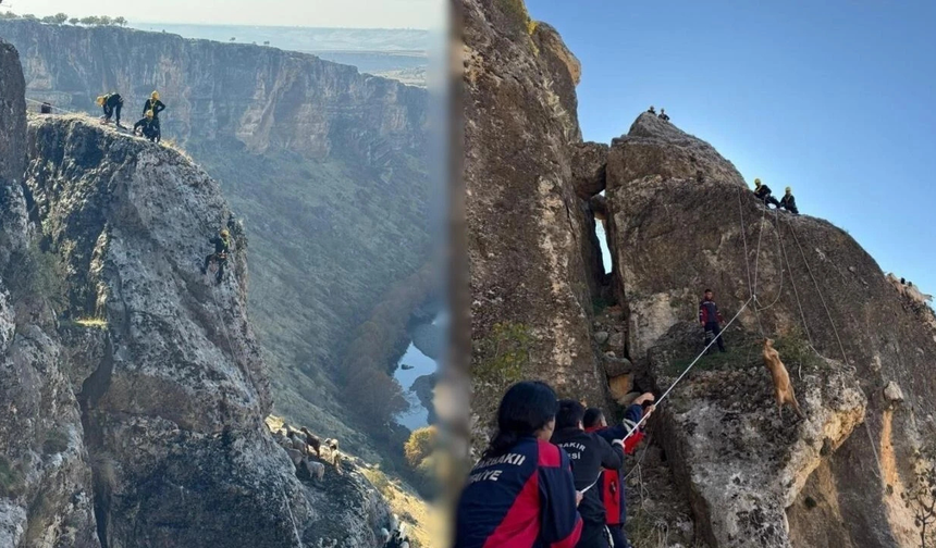 Diyarbakır’da kayalıklarda mahsur kalan 25 Keçi için ekipler seferber  oldu