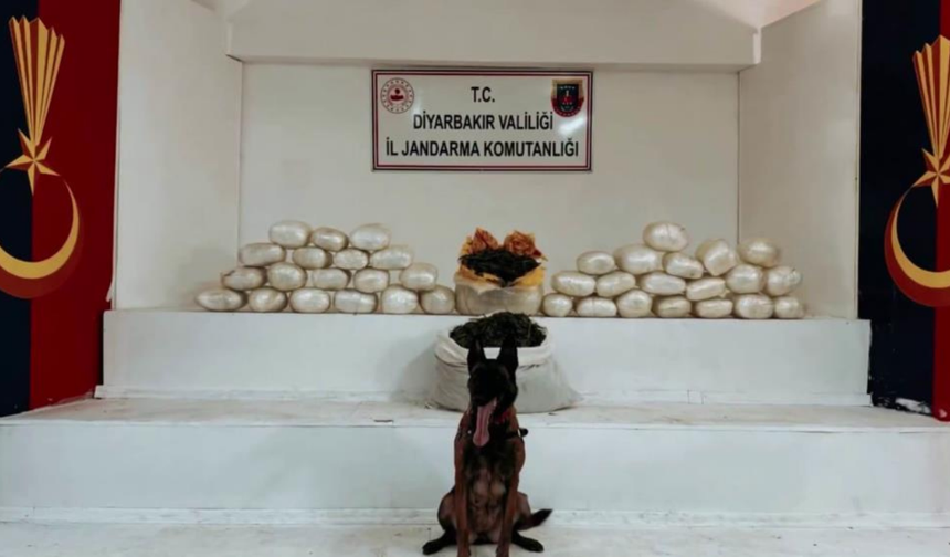 Lice’de dev operasyon: 555 kilo uyuşturucu ele geçirildi