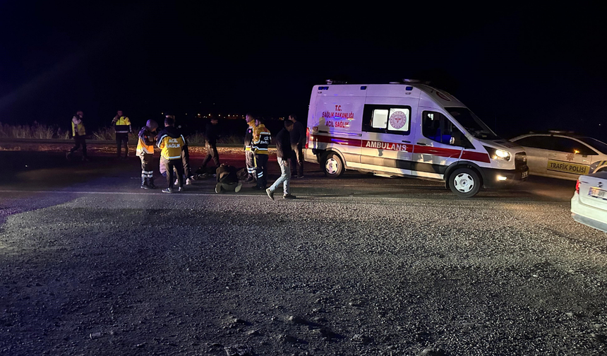 Çınar’da otomobil çarpan yaşlı adam yaşamını yitirdi