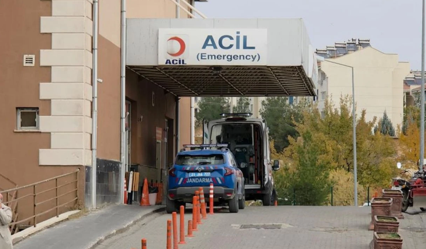 Diyarbakır’daki baba-oğul cinayetinde yeni detaylar ortaya çıktı