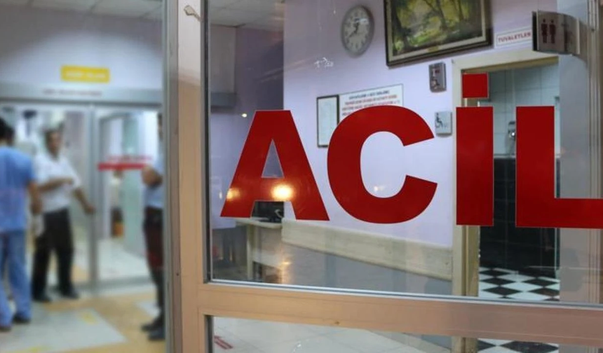 Diyarbakır’da kargo aracı devrildi: 2 kişi yaralandı