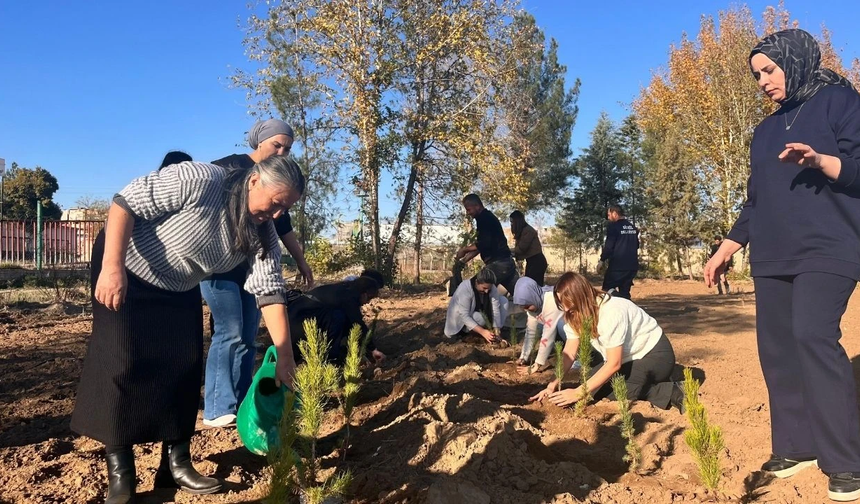 Diyarbakır’da şiddet yüzünden ölen kadınlar için hatıra ormanı oluşturuldu
