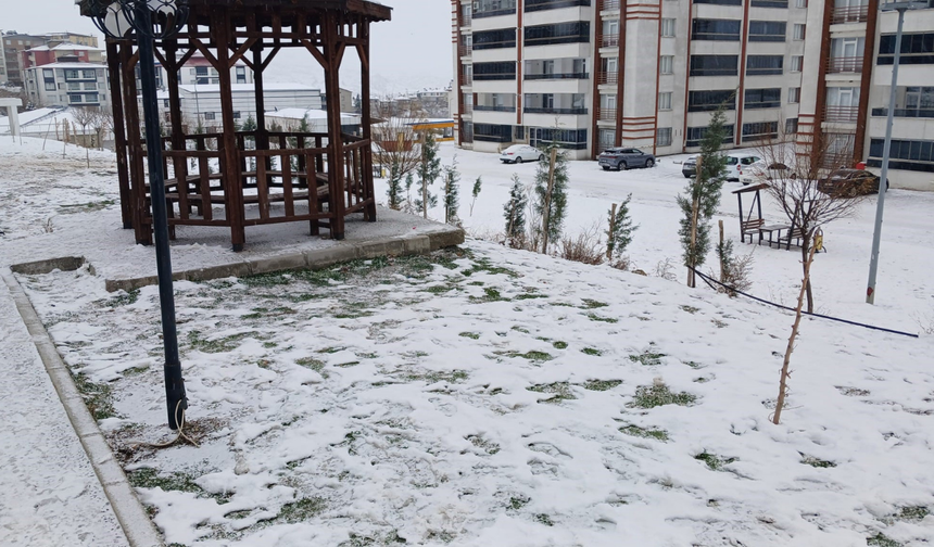 Kulp’ta kar hayatı durdurdu: Yollar kapandı, okullar tatil edildi