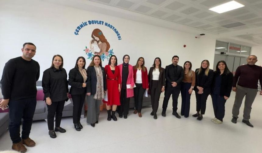 Türkiye'nin ilk "Anne Dostu Hastanesi" Diyarbakır'da: Çermik Devlet Hastanesi'nin gururu