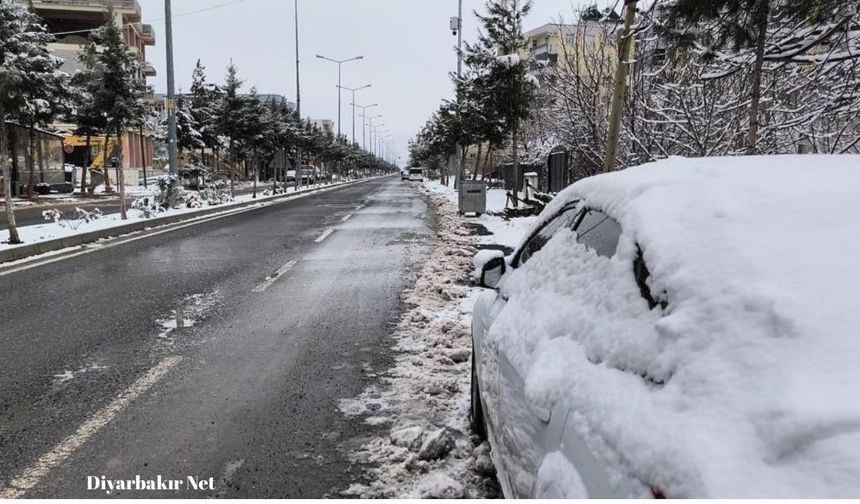Dicle'de kar yağışı tarıma can suyu oldu: Kuraklık endişesi azaldı