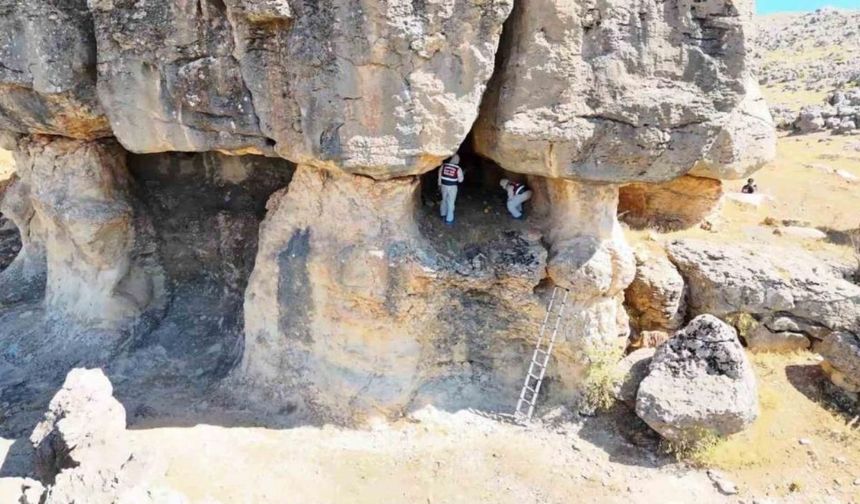 10 yıl önce öldürülen kadın davasında iki sanığa ağırlaştırılmış müebbet istendi