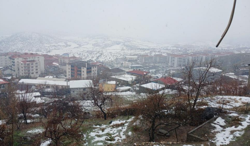 Kulp’ta yağmur yerini kara bıraktı: Yüksek kesimler beyaza büründü