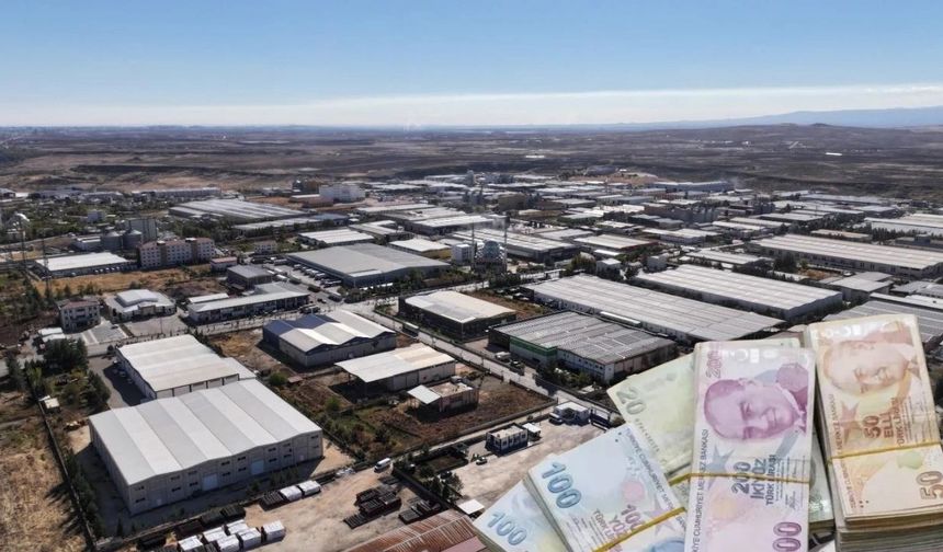 Bakanlık kesenin ağzını açtı: Diyarbakır'a dev hibe desteği geliyor! İşte rakam