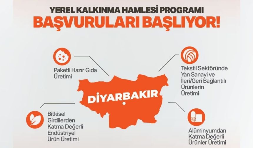 Valilik duyurdu: Diyarbakır'da yatırımcıya 301 milyon TL nakdi destek fırsatı!