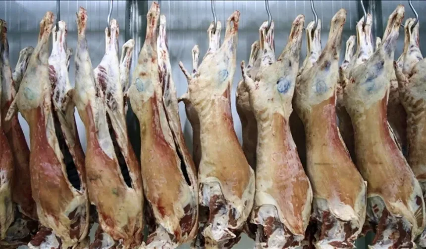 Piyasaya hastalıklı et sürülmüş