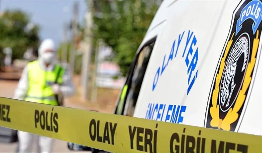 Diyarbakır'da korkutan benzerlik: Aleyna'nın ölümünde ilginç gelişme