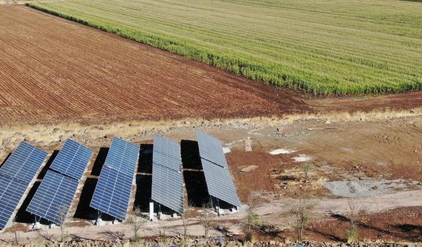 Diyarbakır'da çiftçiye can suyu: Tarım ve hayvancılığa hibe desteği açıklandı