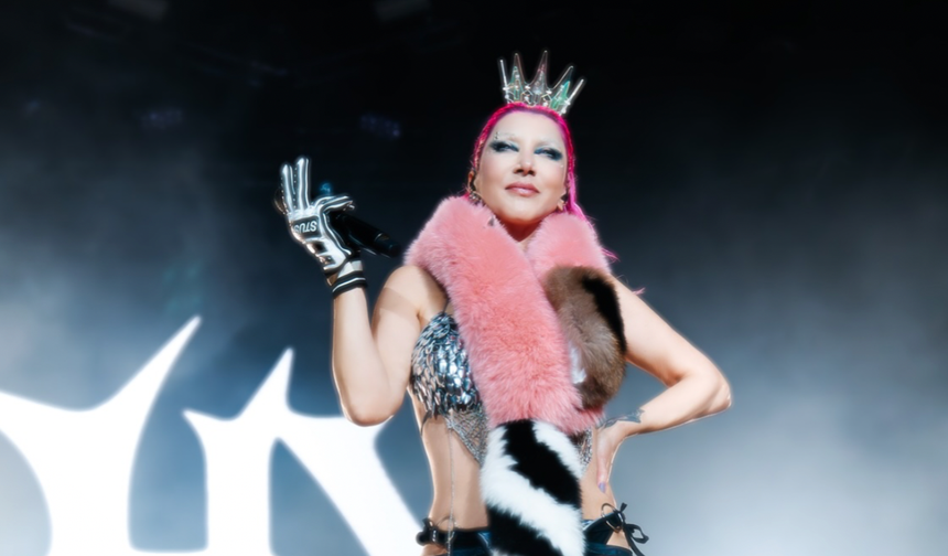 Hande Yener'e "zıplamayan Tayyipçi" soruşturması