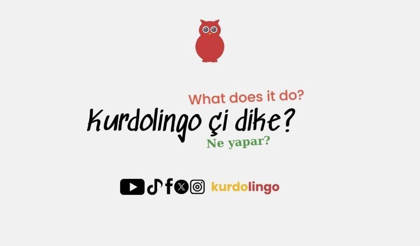 Kürtçe öğrenme platformu Kurdolingo yayında