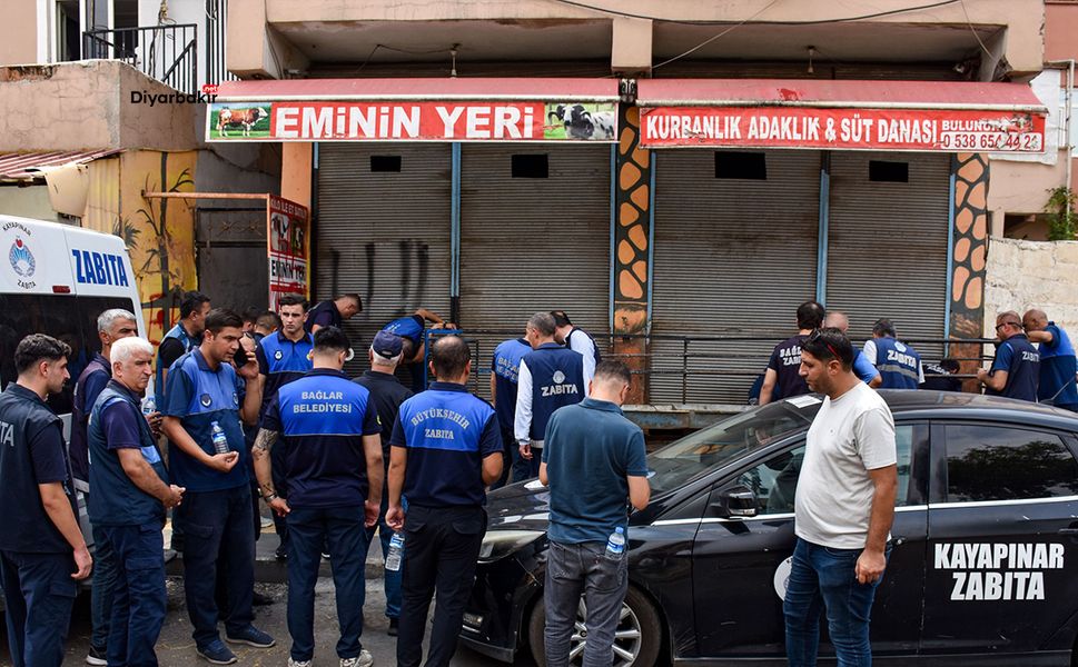 Diyarbakır’da ruhsatsız hayvan satışı ve kesimine denetim