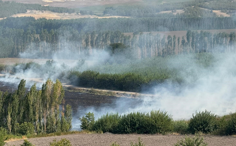 Diyarbakır Hevsel Bahçeleri’nde anız yangını