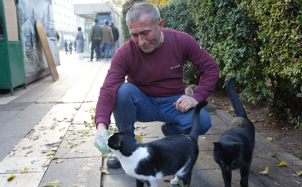Diyarbakır’da 30 yıldır duraktaki kedilere sahip çıkıyor