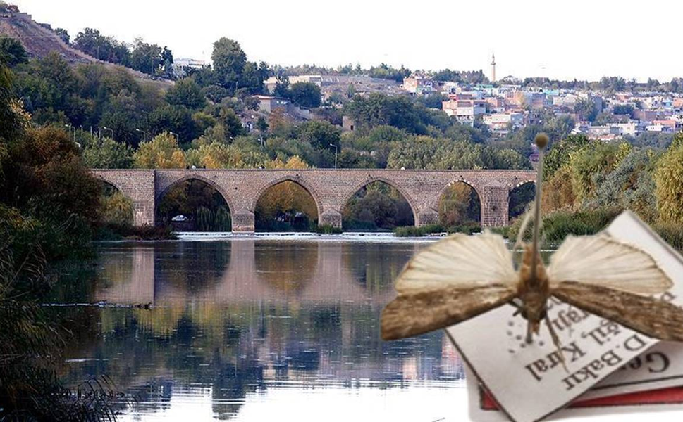 Diyarbakır’da bulduğu kelebek türüne eşinin adını verdi: Bilimsel literatüre girdi