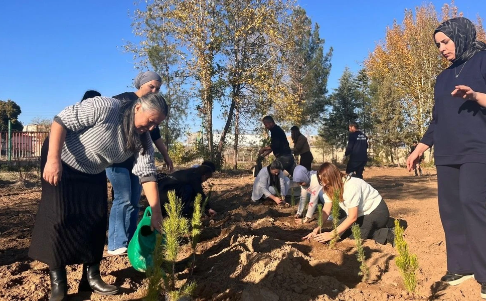 Diyarbakır’da şiddet yüzünden ölen kadınlar için hatıra ormanı oluşturuldu