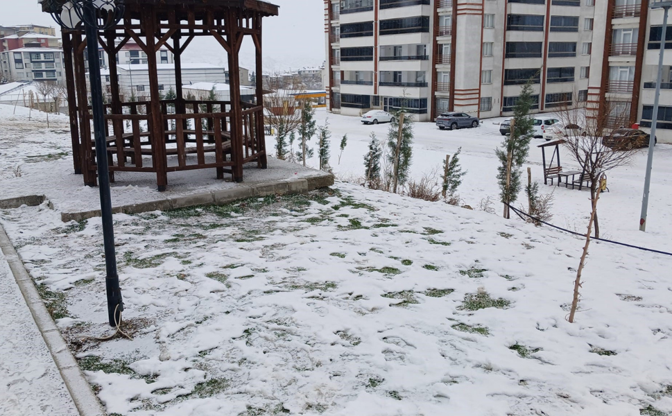 Kulp’ta kar hayatı durdurdu: Yollar kapandı, okullar tatil edildi