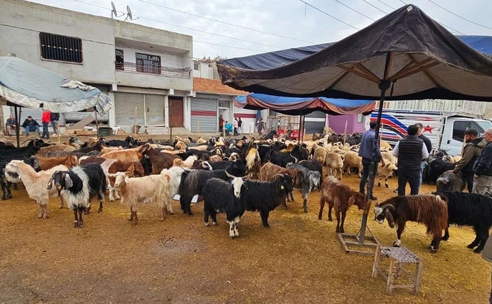 Devlet desteği resmen açıklandı: Diyarbakır'da binlerce kişi bayram etti