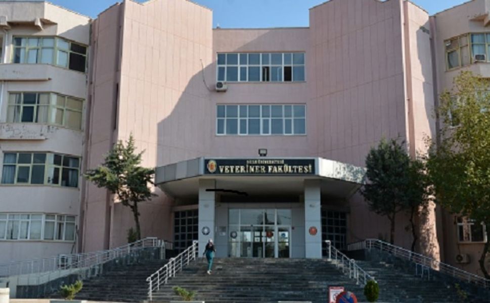 Böyle ihale görülmedi! Dicle Üniversitesi 4'ünü birden satışa çıkardı