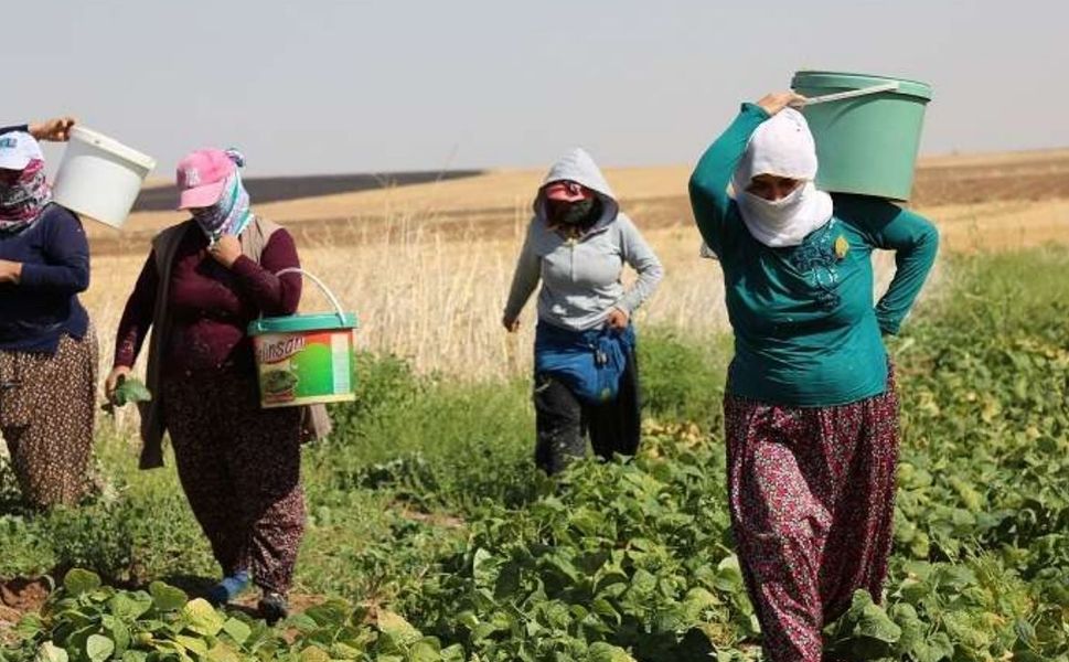 Diyarbakır'da 2975 kadınla görüşüldü: Çarpıcı tablo ortaya çıktı