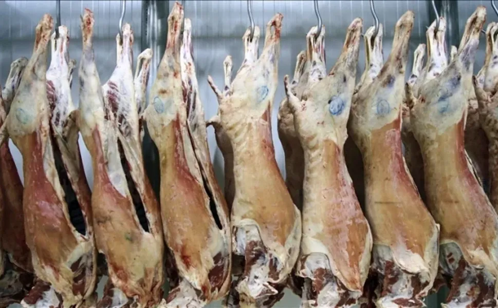 Piyasaya hastalıklı et sürülmüş