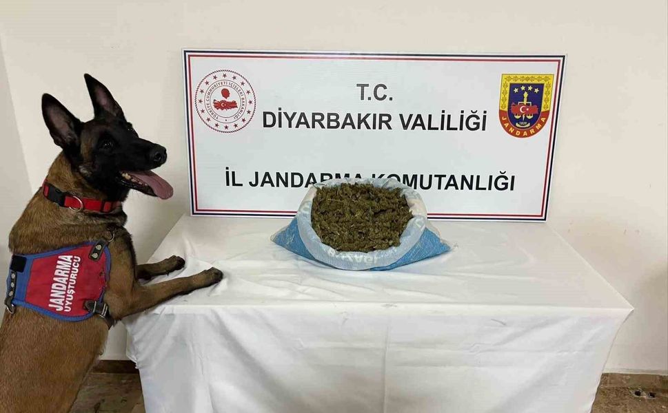 Diyarbakır’da uyuşturucu operasyonu: 14 gözaltı