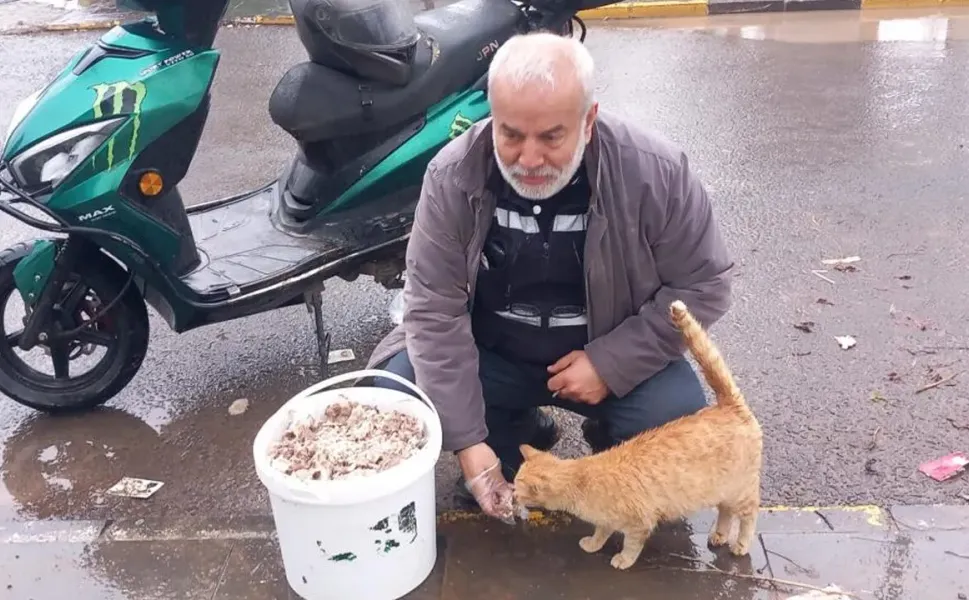 Diyarbakır’da bayramda sokak hayvanları unutulmadı