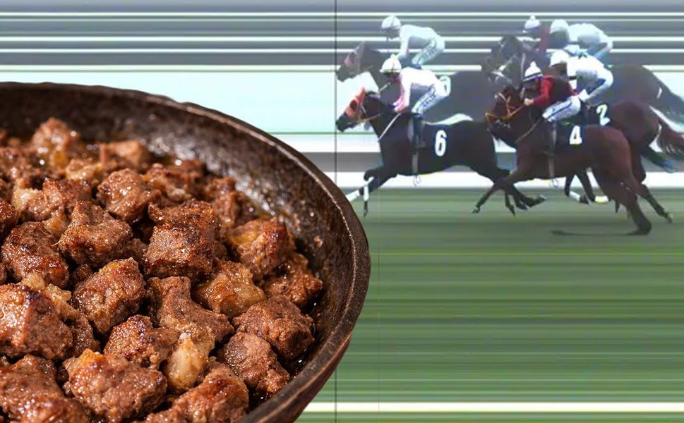 Yarış atı kavurma yapılan işadamına ceza